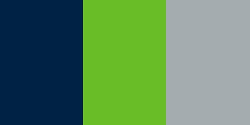 Seattle Seahawks Colors