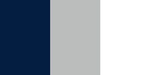 UNH Wildcats Colors