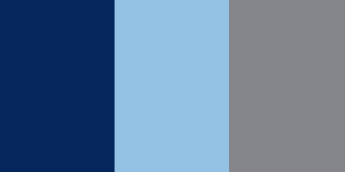 Vancouver Whitecaps Football Club Colors