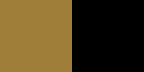 Wake Forest Demon Deacons Colors